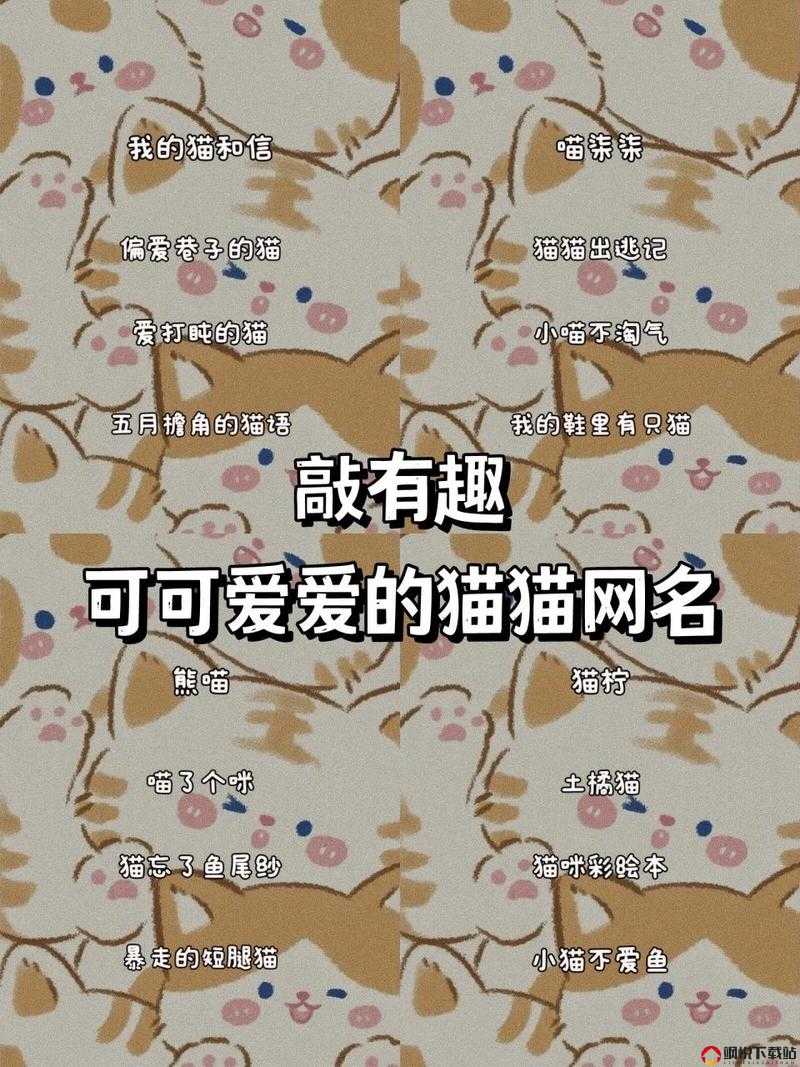 猫咪 MV 最新地域网名怎么取：猫咪爱好者必备的取名指南